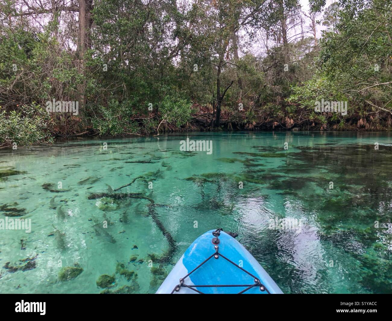 Kayaking Weeki Wachee Springs State Park, Florida Stock Photo Alamy