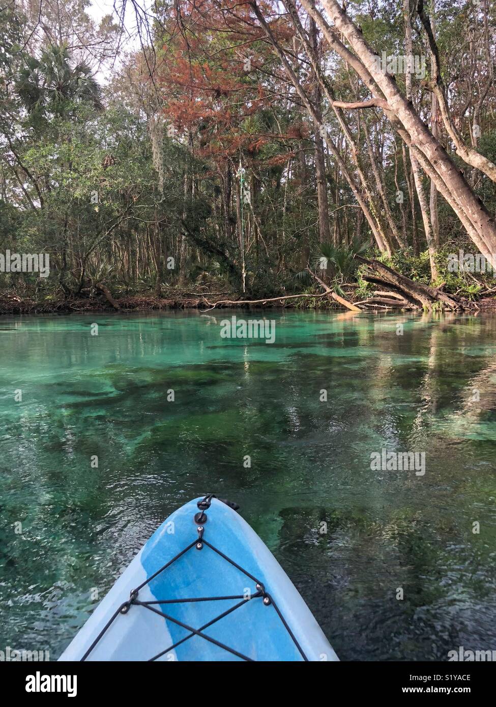 Kayaking Weeki Wachee Springs State Park, Florida Stock Photo Alamy