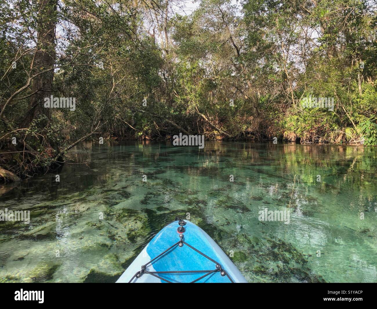 Kayaking Weeki Wachee Springs State Park in Florida Stock Photo