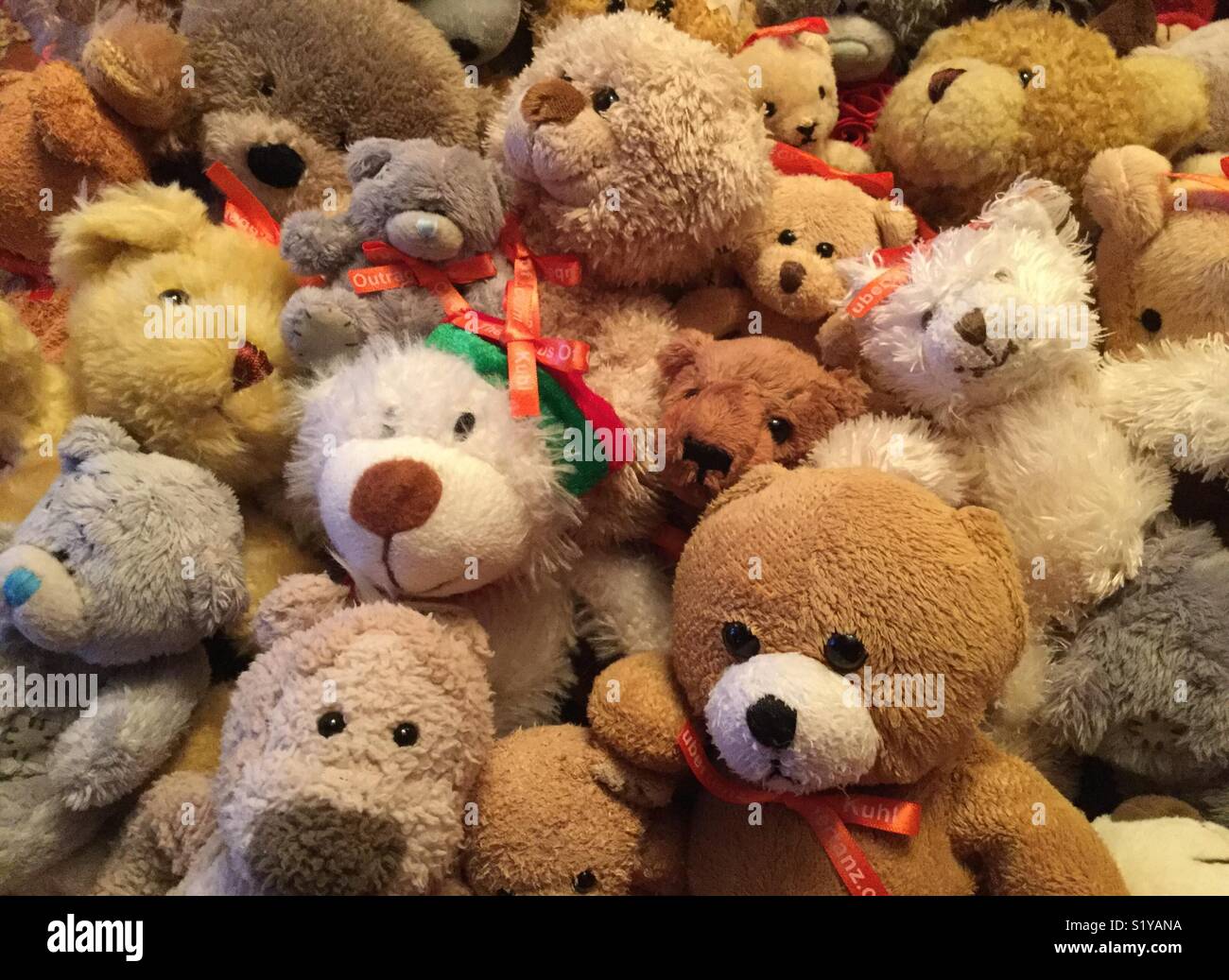 Teddy Bear Collection Stock Photo Alamy