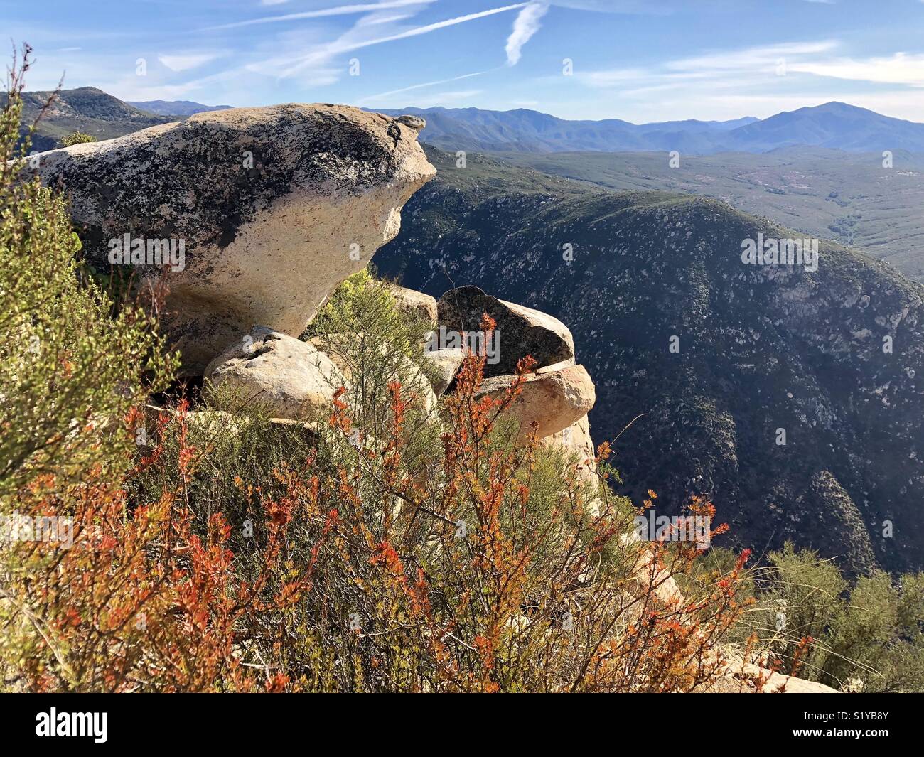 Face in the Rock Stock Photo