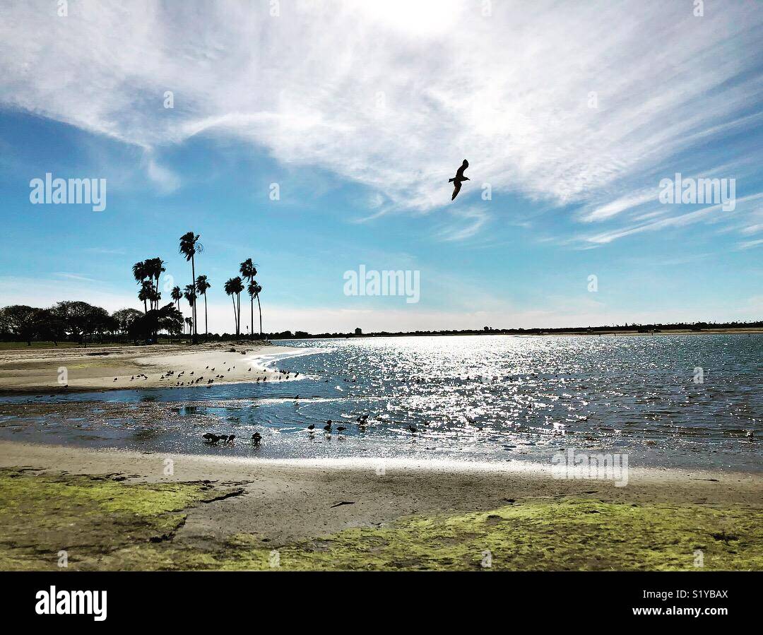Mission Bay Park, San Diego Stock Photo