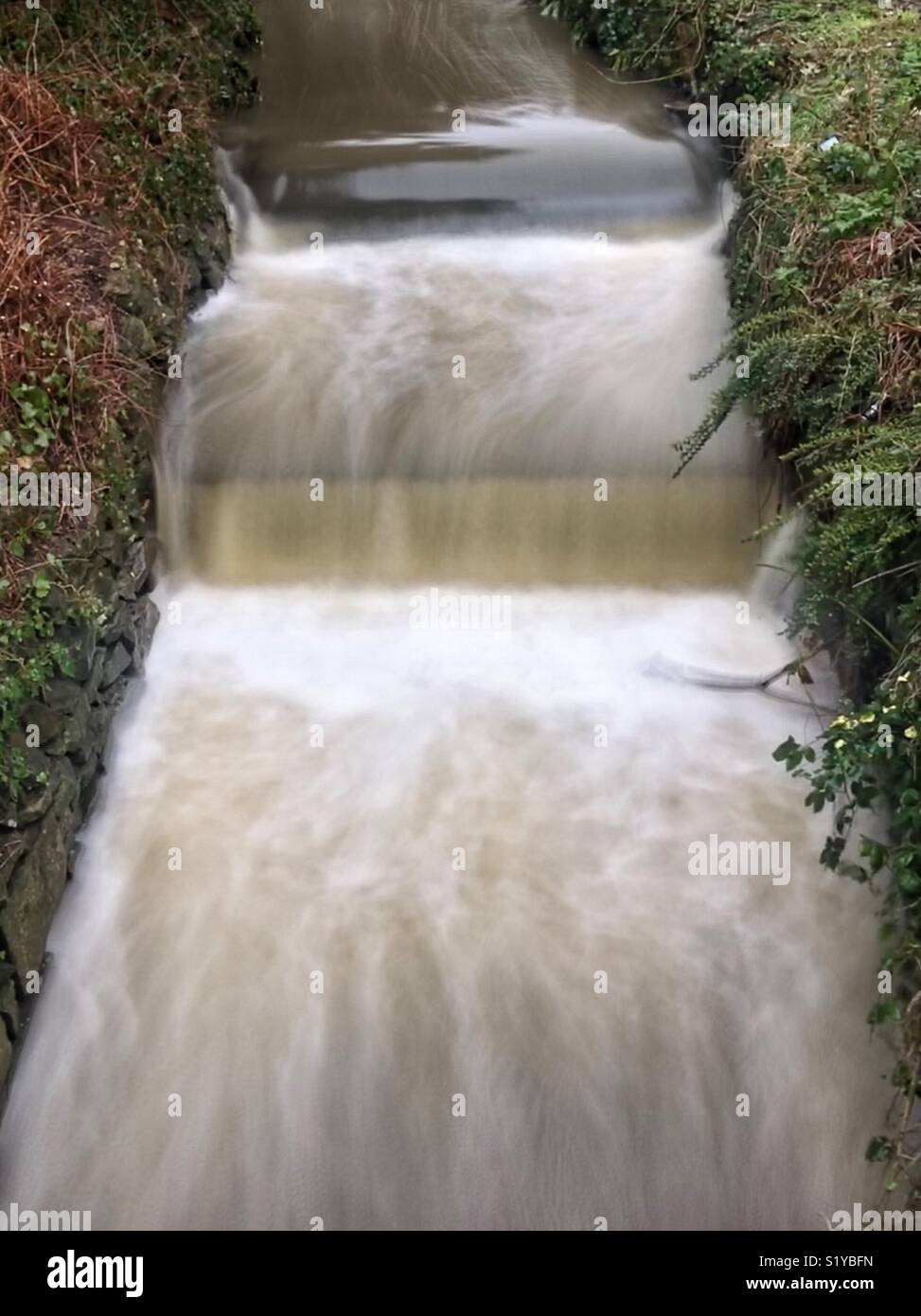 Fast flowing stream Stock Photo