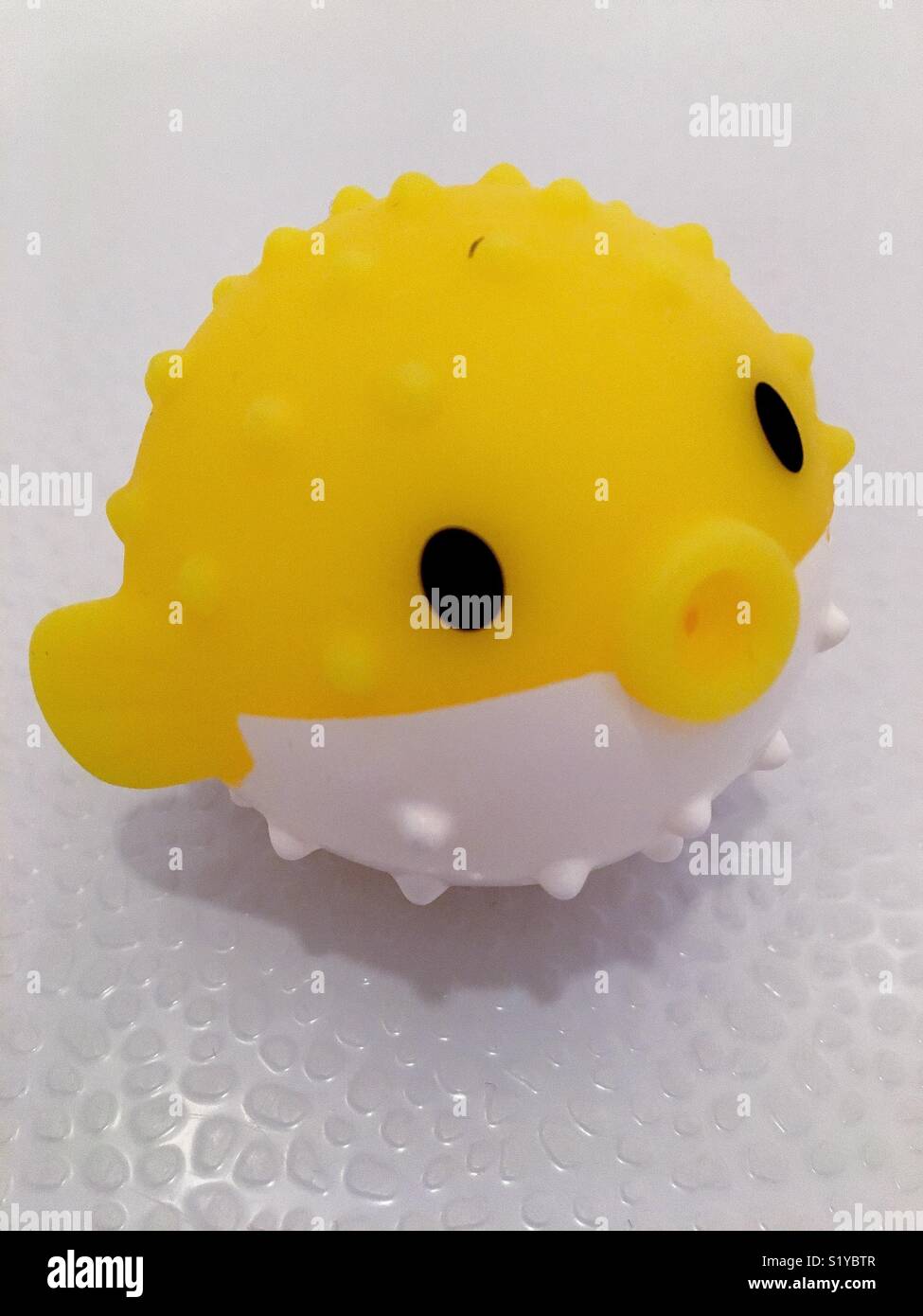 Yellow rubber puffer fish in bath tub. Stock Photo