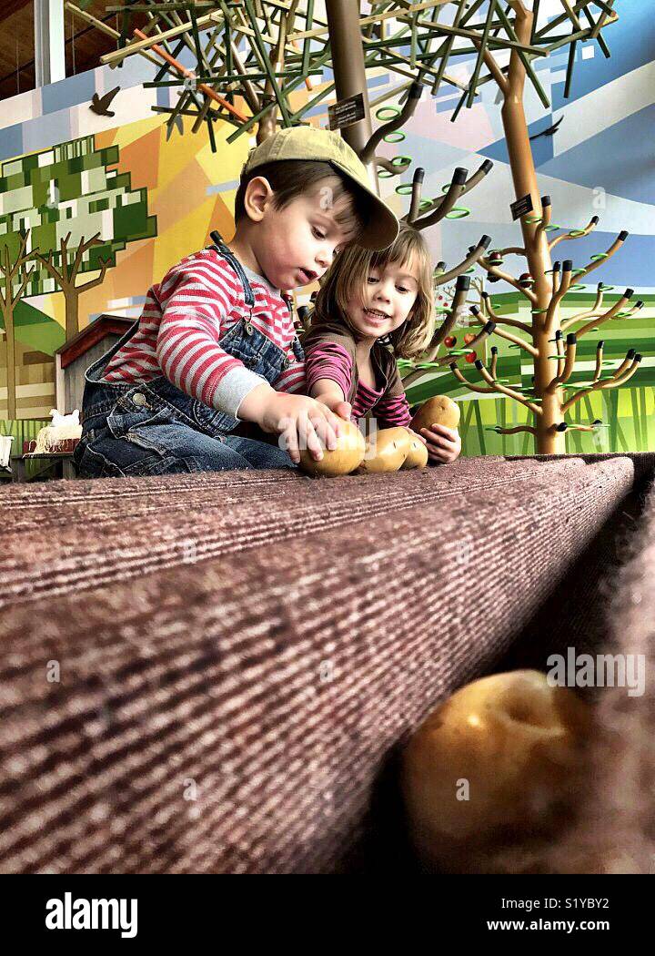 A pair of children pretend to dig up potatoes at the Scott Family Amazeum in Bentonville, Arkansas. - Smartphone Captured Stock Image