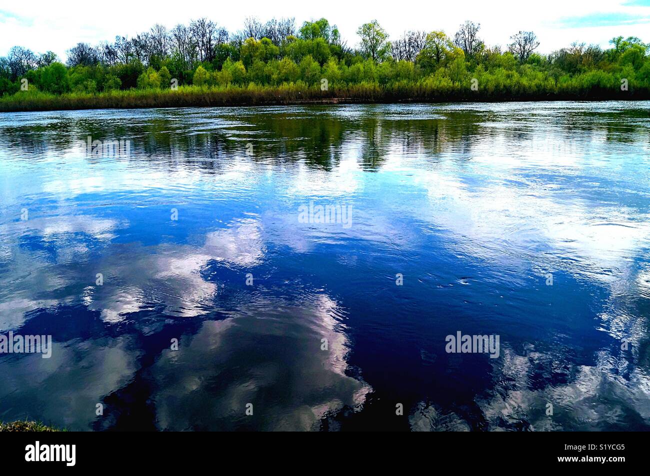 mirror world - Smartphone Captured Stock Image