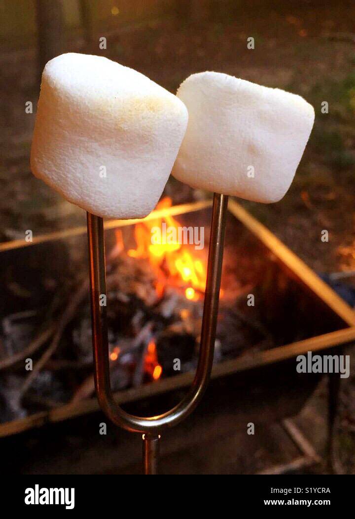Two marshmallows slowly roast on a spit over an open flame. - Smartphone Captured Stock Image