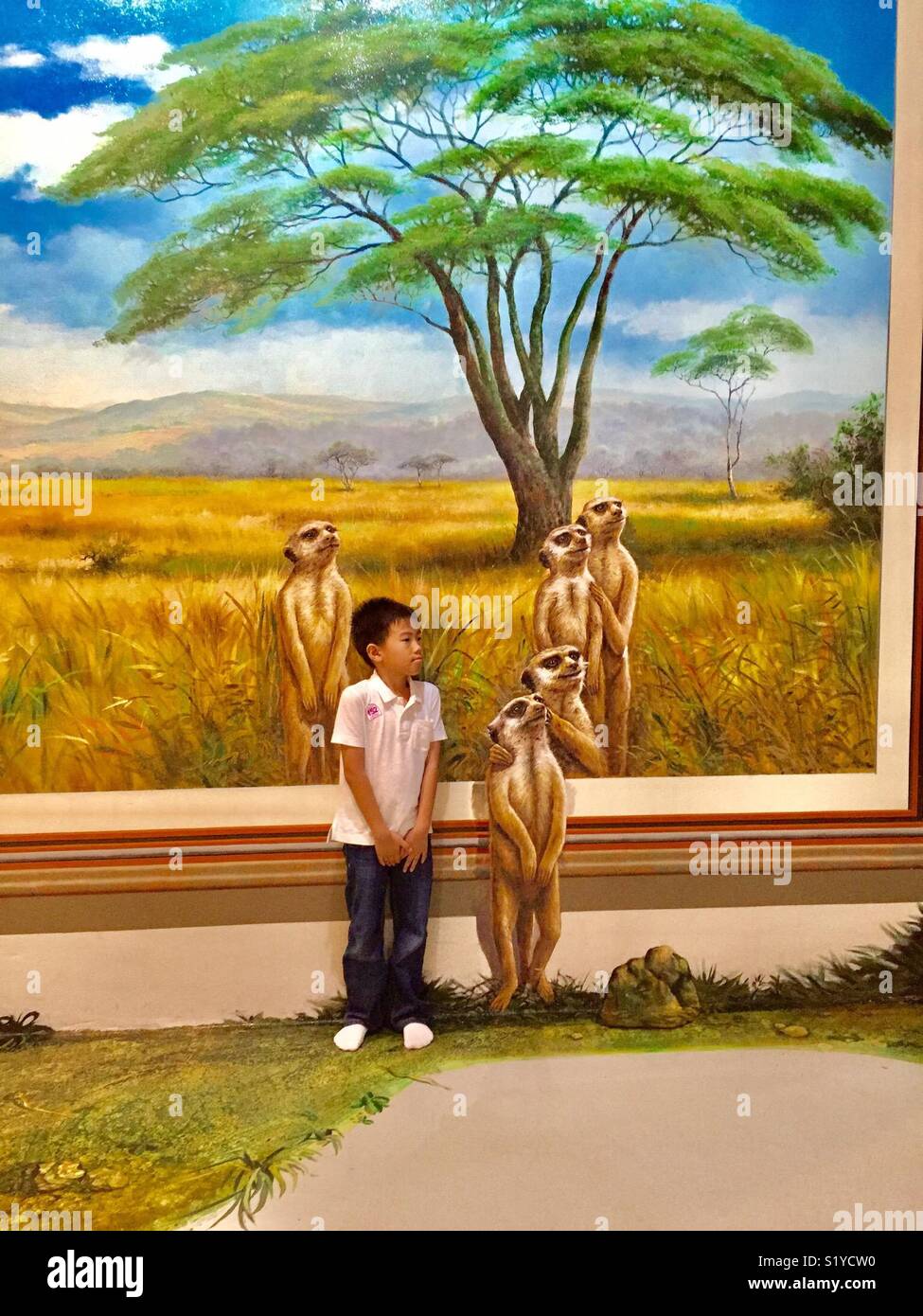 Stand still hires stock photography and images Alamy