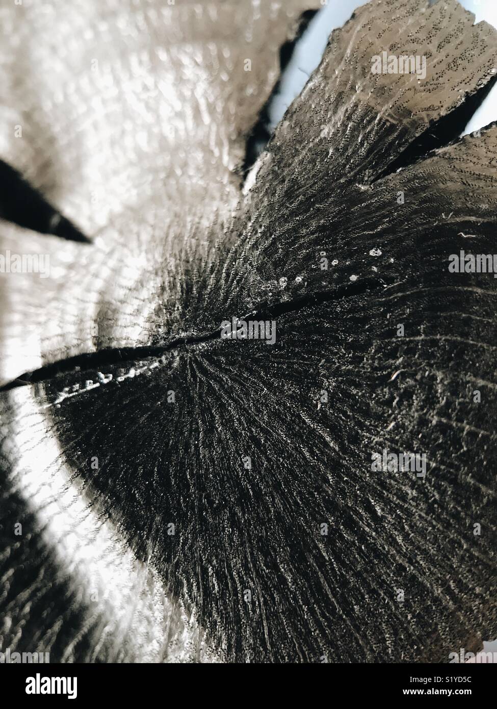 Macro of a stick of artisan Japanese active kishu charcoal, used to filter drinking water. - Smartphone Captured Stock Image