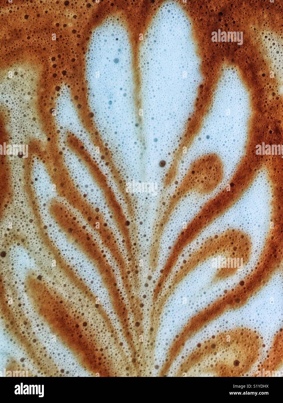 Artisanal latte foam closeup Stock Photo