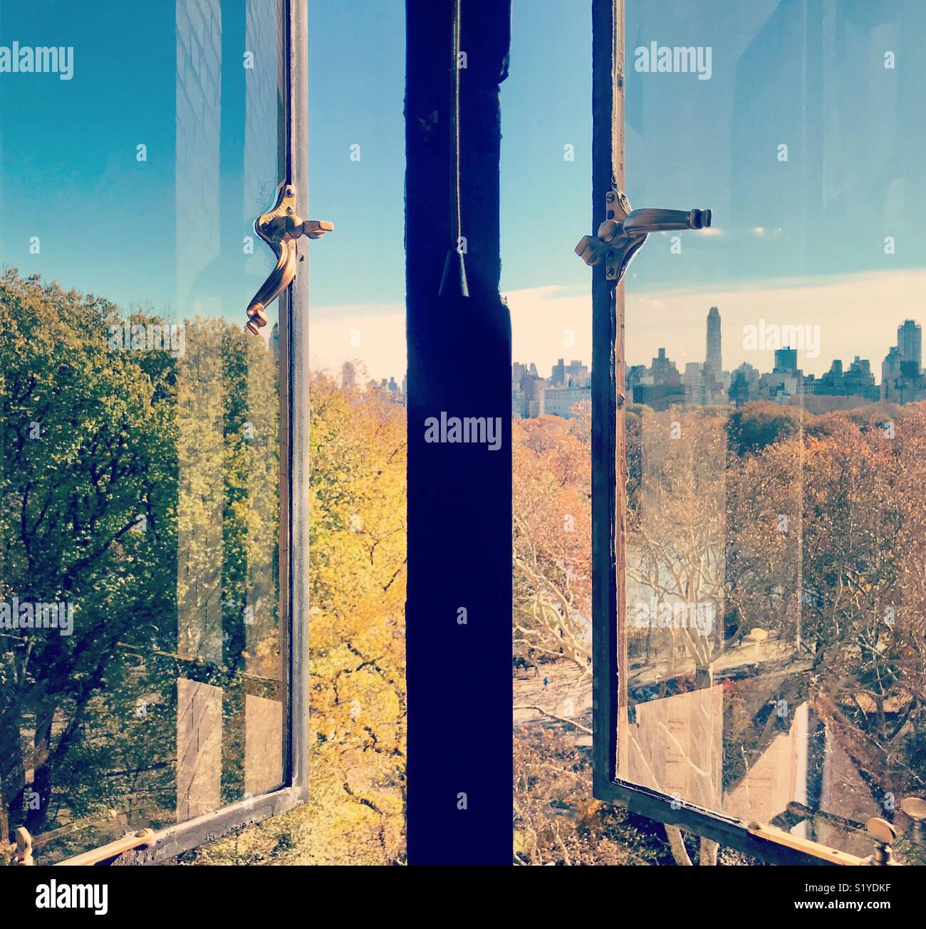 Central Park View. - Smartphone Captured Stock Image