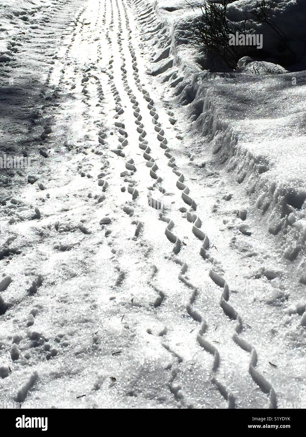 Tire tracks in the snow Stock Photo - Alamy