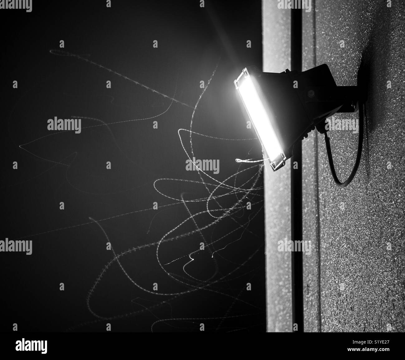 bugs flying front of light in long exposure shutter Stock Photo