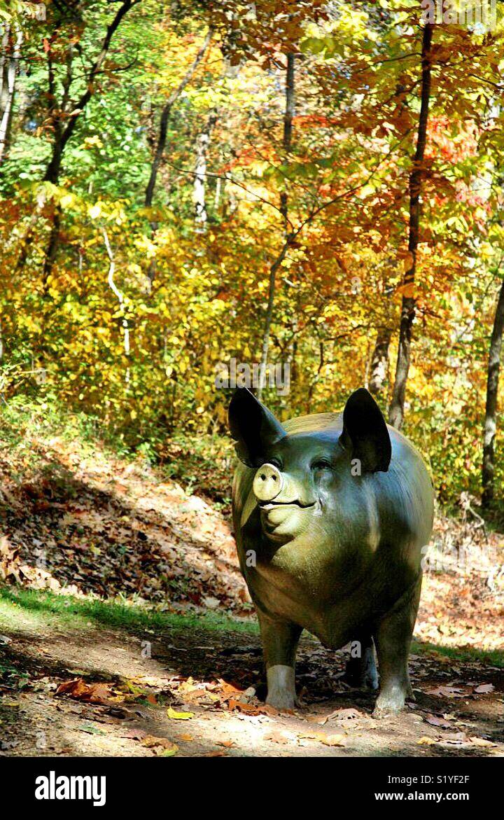 A pig sits on a path along the art trail at the Crystal Bridges Museum of American Art in Bentonville, Arkansas. - Smartphone Captured Stock Image
