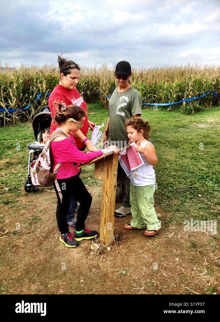 A family conducts a map while navigating a corn maze. - Smartphone Captured Stock Image