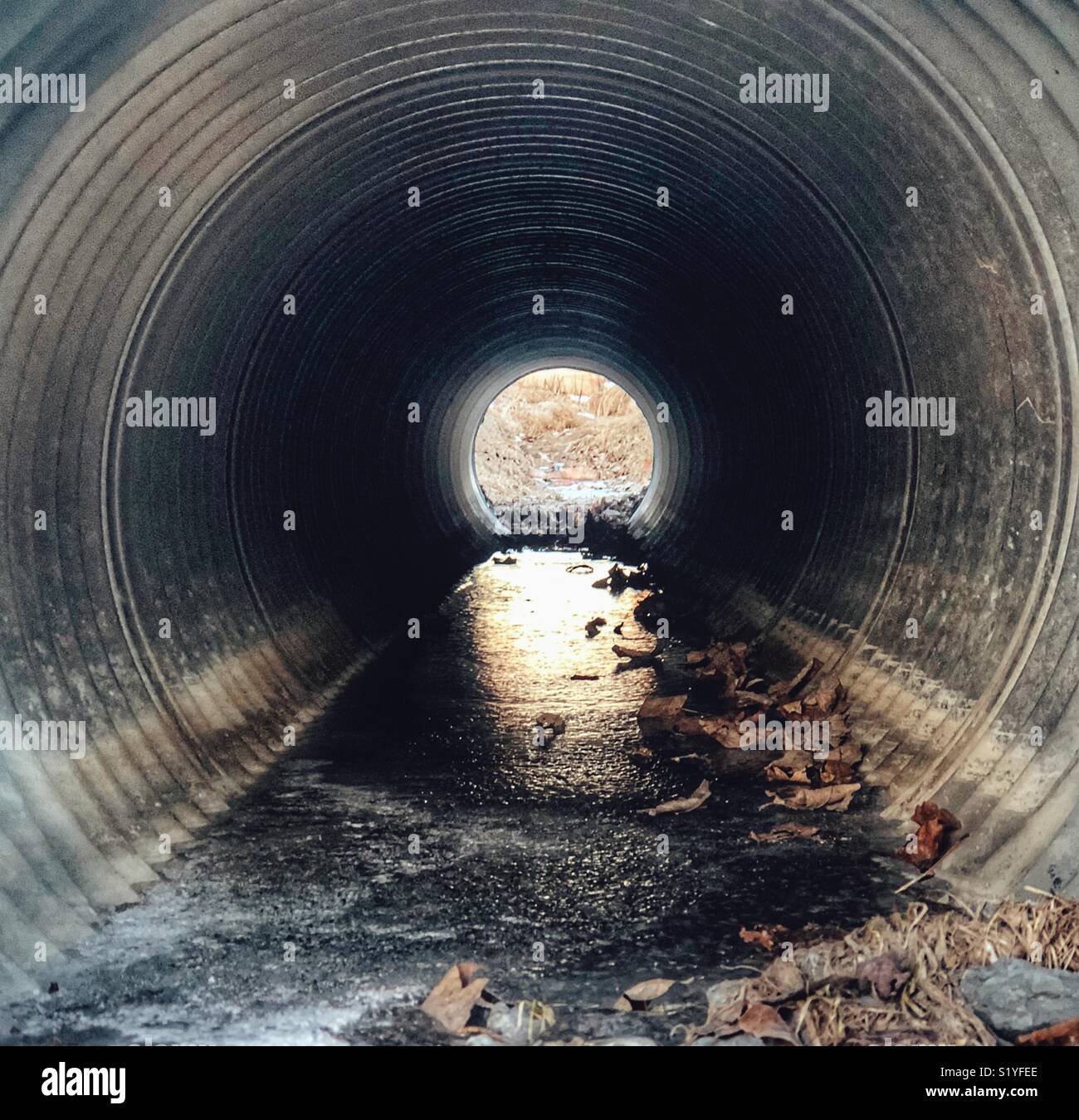 View through a metal culvert in a ditch - Smartphone Captured Stock Image