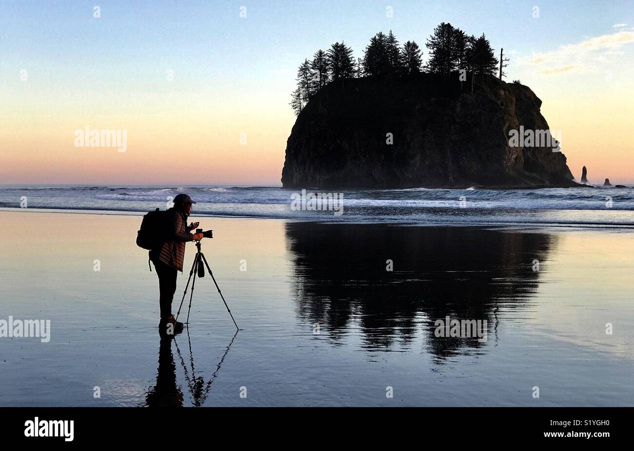 Woman photographer capturing sunset, Pacific coast, Olympic National Park, Washington - Smartphone Captured Stock Image