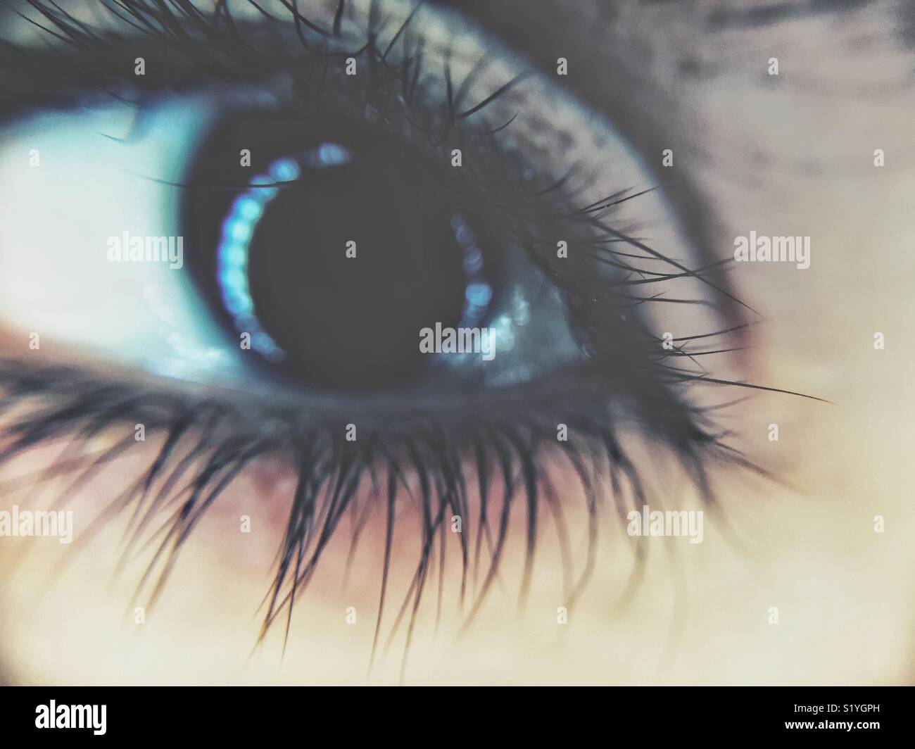 Eye close up - Smartphone Captured Stock Image