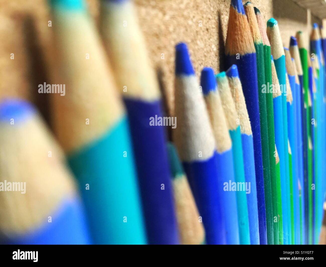 Row of blue pencils with shallow focus Stock Photo