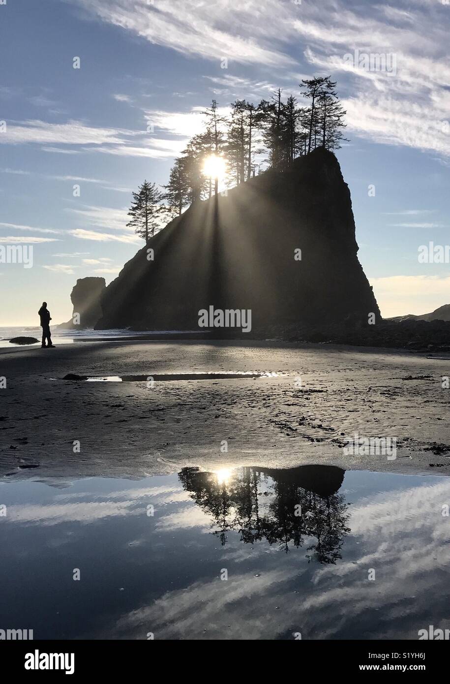 Sunset over a tree-covered sea stack, Olympic National Park, Washington Stock Photo