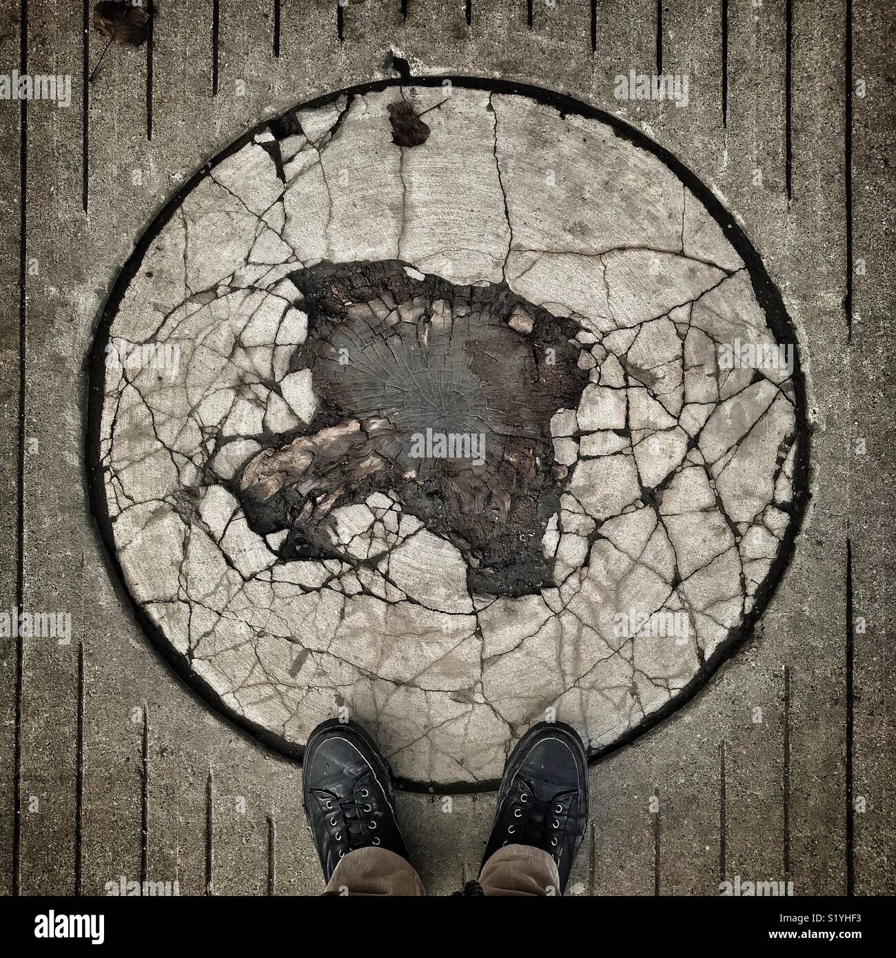 Man standing by old tree stump in urban setting. - Smartphone Captured Stock Image