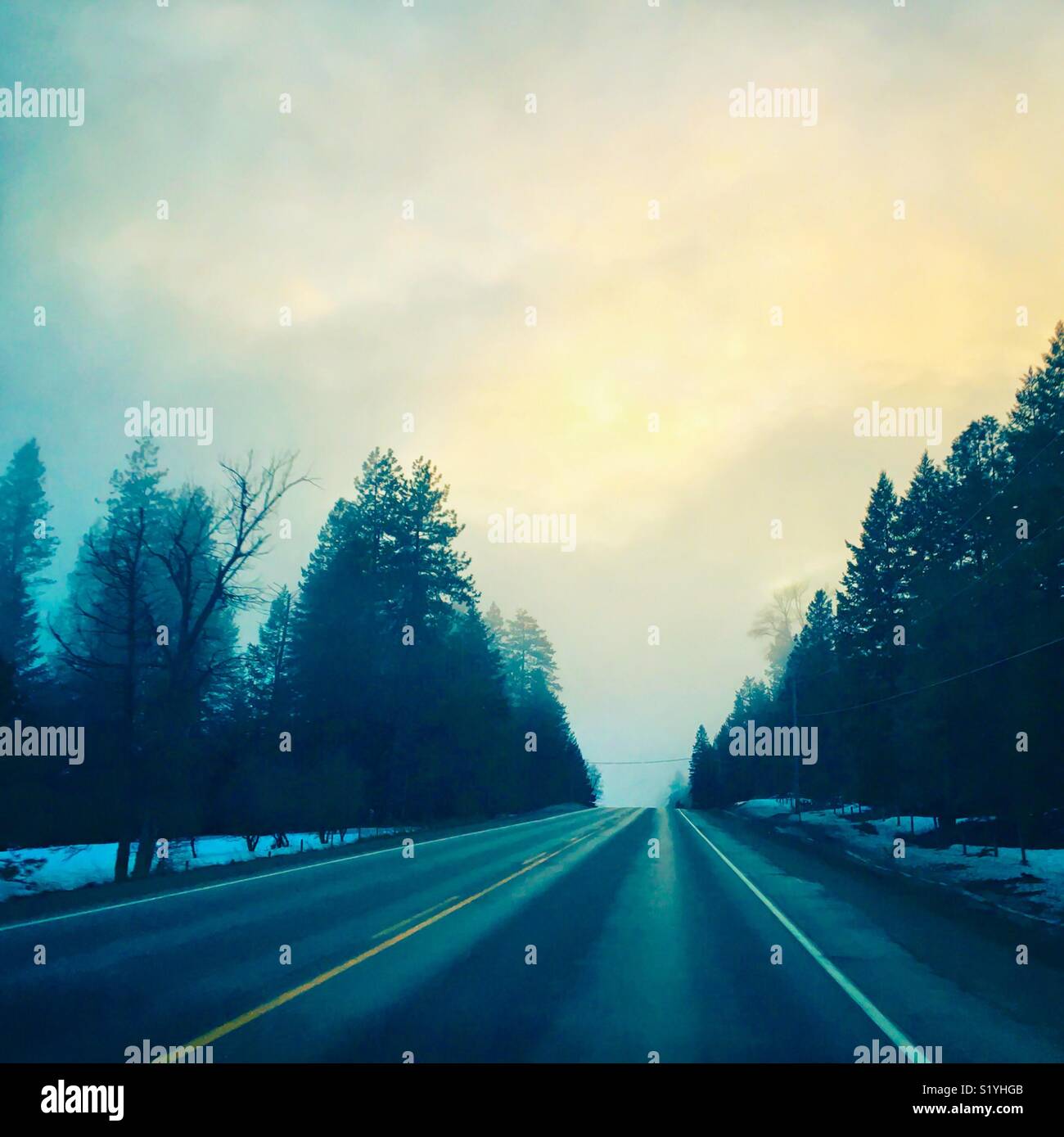 A section of an empty highway surrounded by trees on a foggy late winter day. Square crop. - Smartphone Captured Stock Image