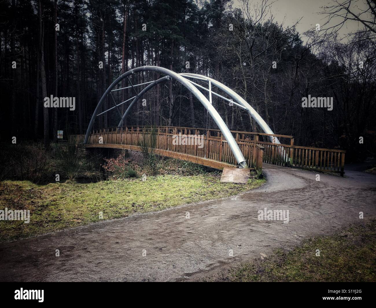 The new bridge at Hamsterley forest crossing the Bedburn Beck, situated in County Durham in North East England. - Smartphone Captured Stock Image