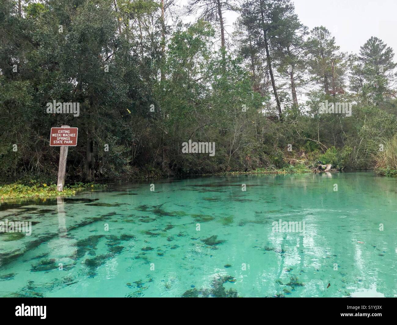 Weeki wachee, florida hi-res stock photography and images - Alamy