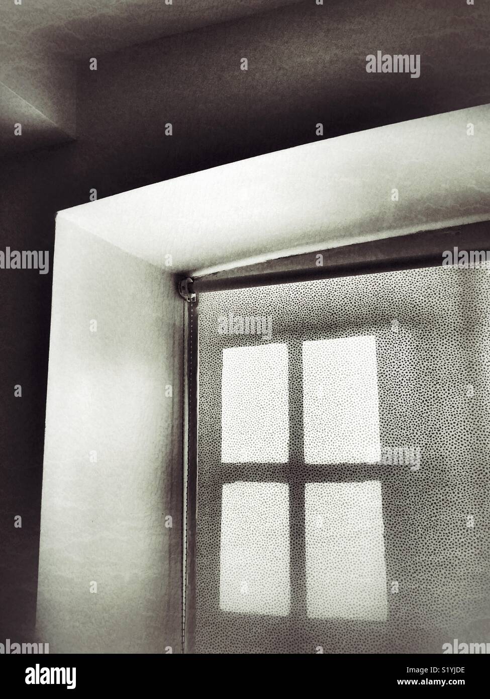 A shadow of a window and frame - Smartphone Captured Stock Image A shadow of a window and frame - Smartphone Captured Stock Image
