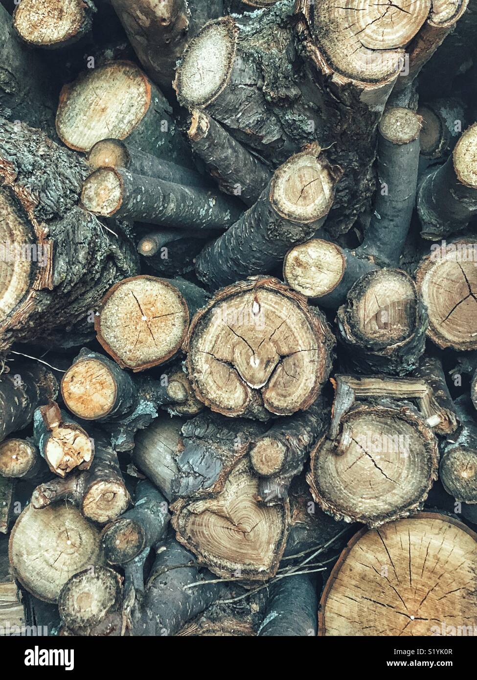 Stacked firewood limbs and logs close up - Smartphone Captured Stock Image