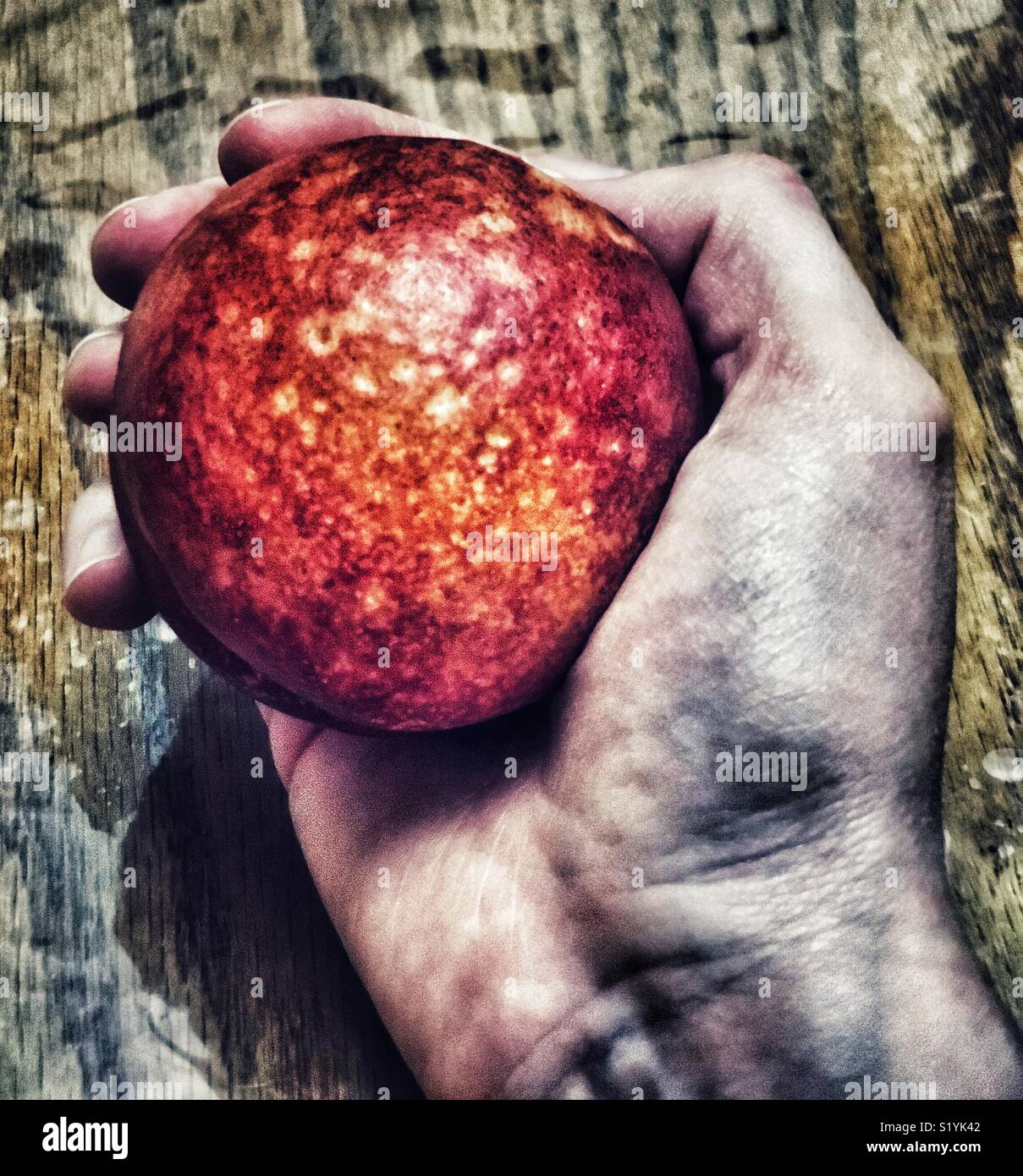 Hand holding nectarine - Smartphone Captured Stock Image