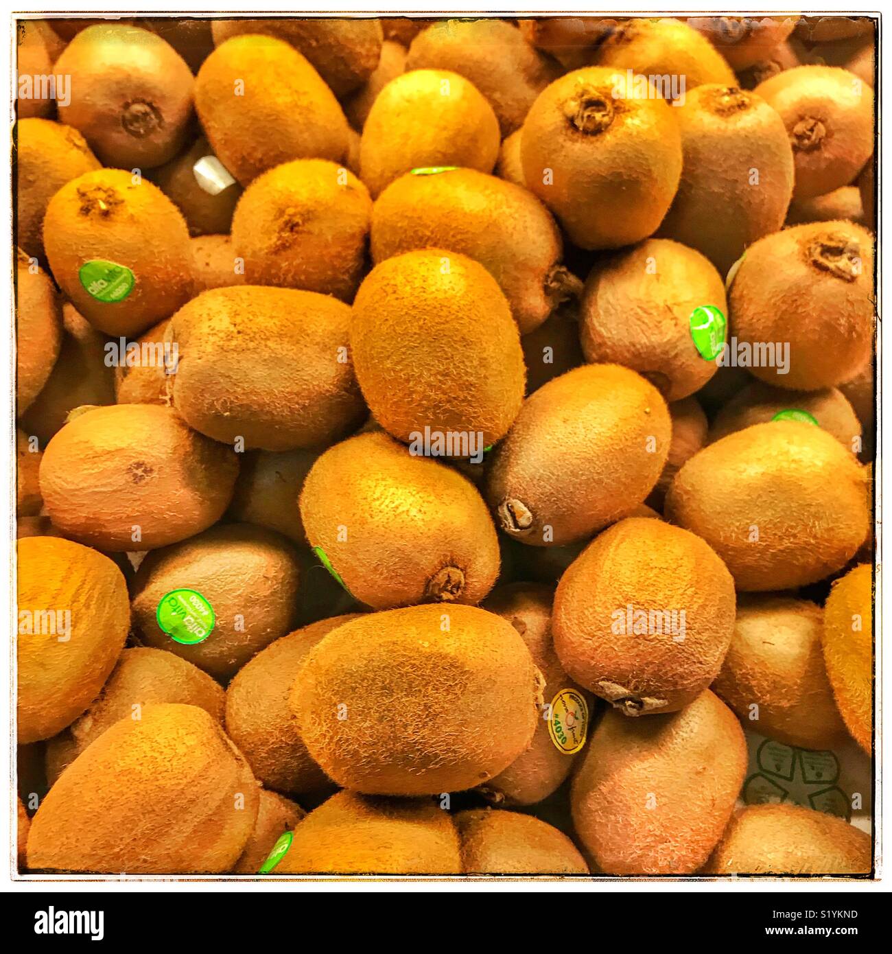 Kiwi fruit in Supermarket Stock Photo Alamy