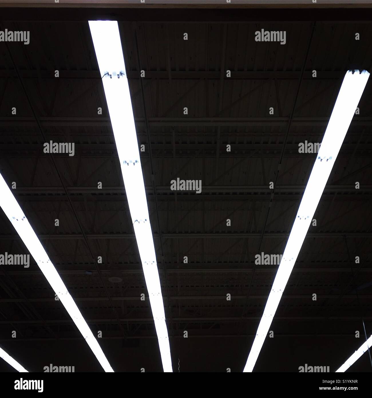 fluorescent-lights-by-k-r-stock-photo-alamy