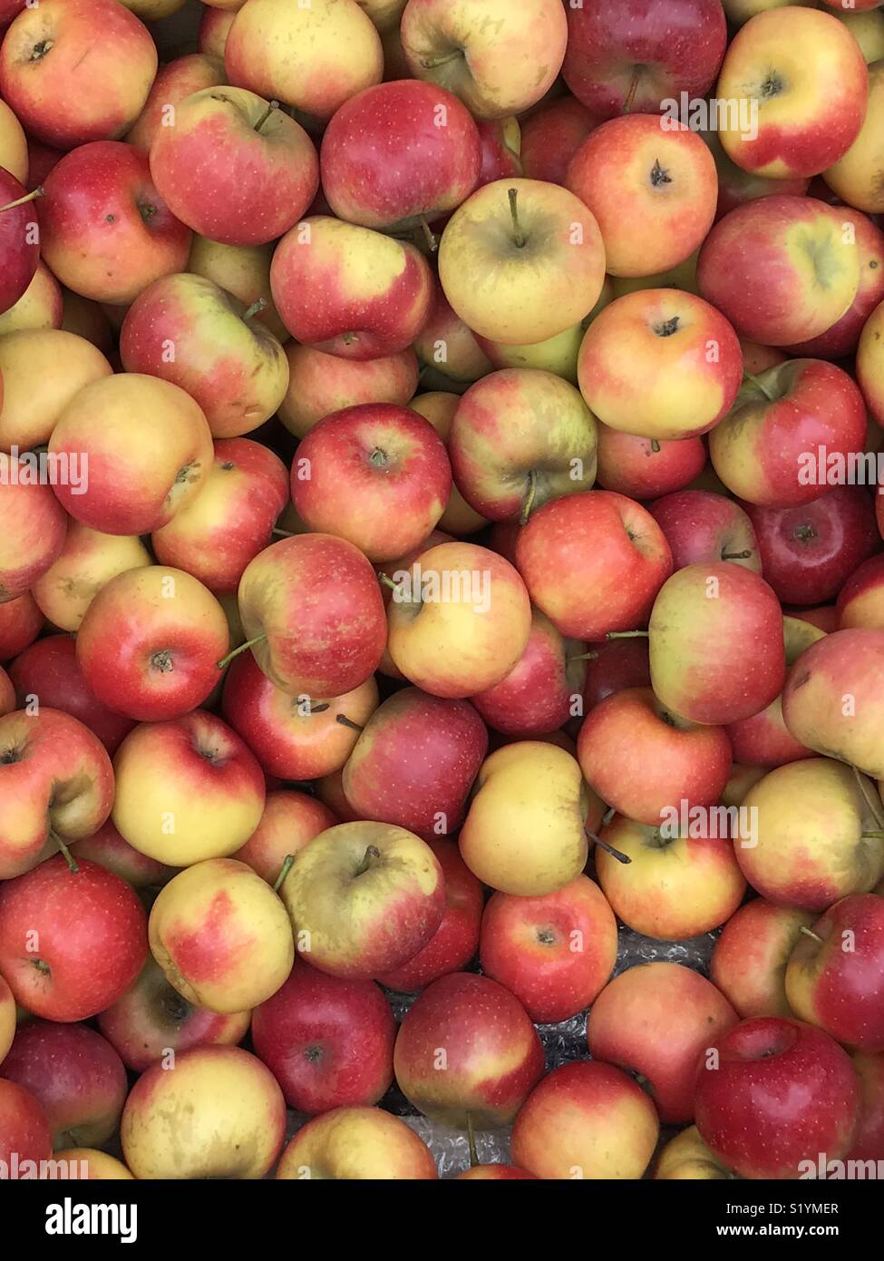 French Apples, ready to eat Stock Photo Alamy