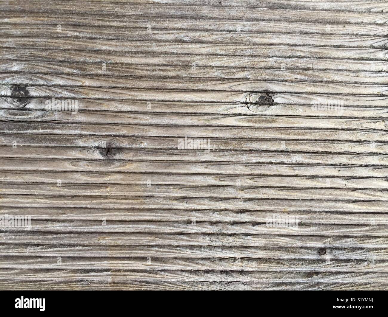 closeup of a old bankirai hardwood terrace panel Stock Photo