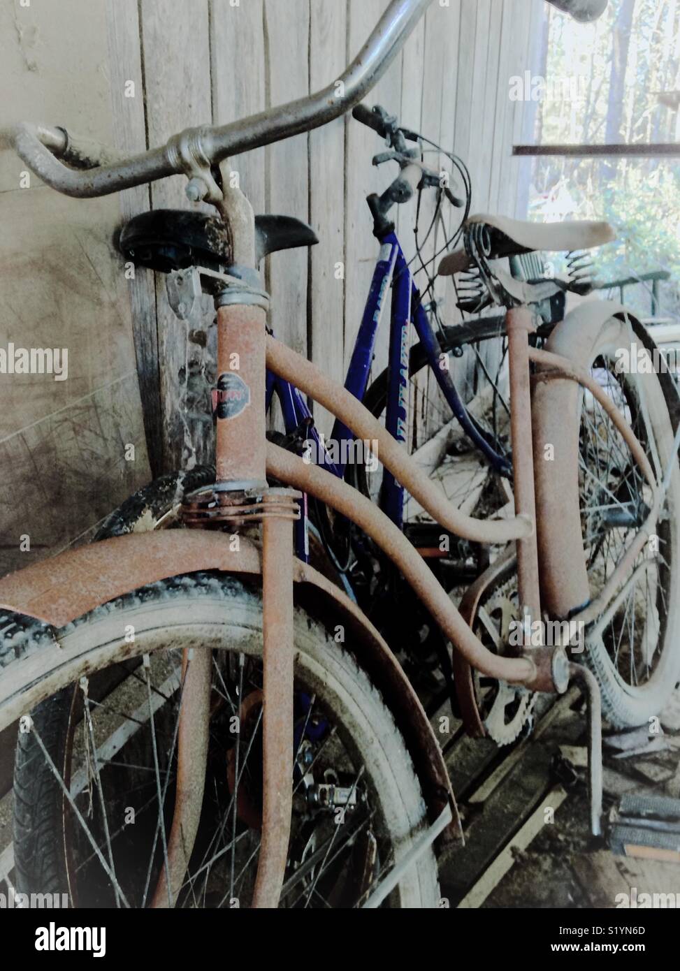 Blue bicycle and yellow bicycle stored in shed - Smartphone Captured Stock Image