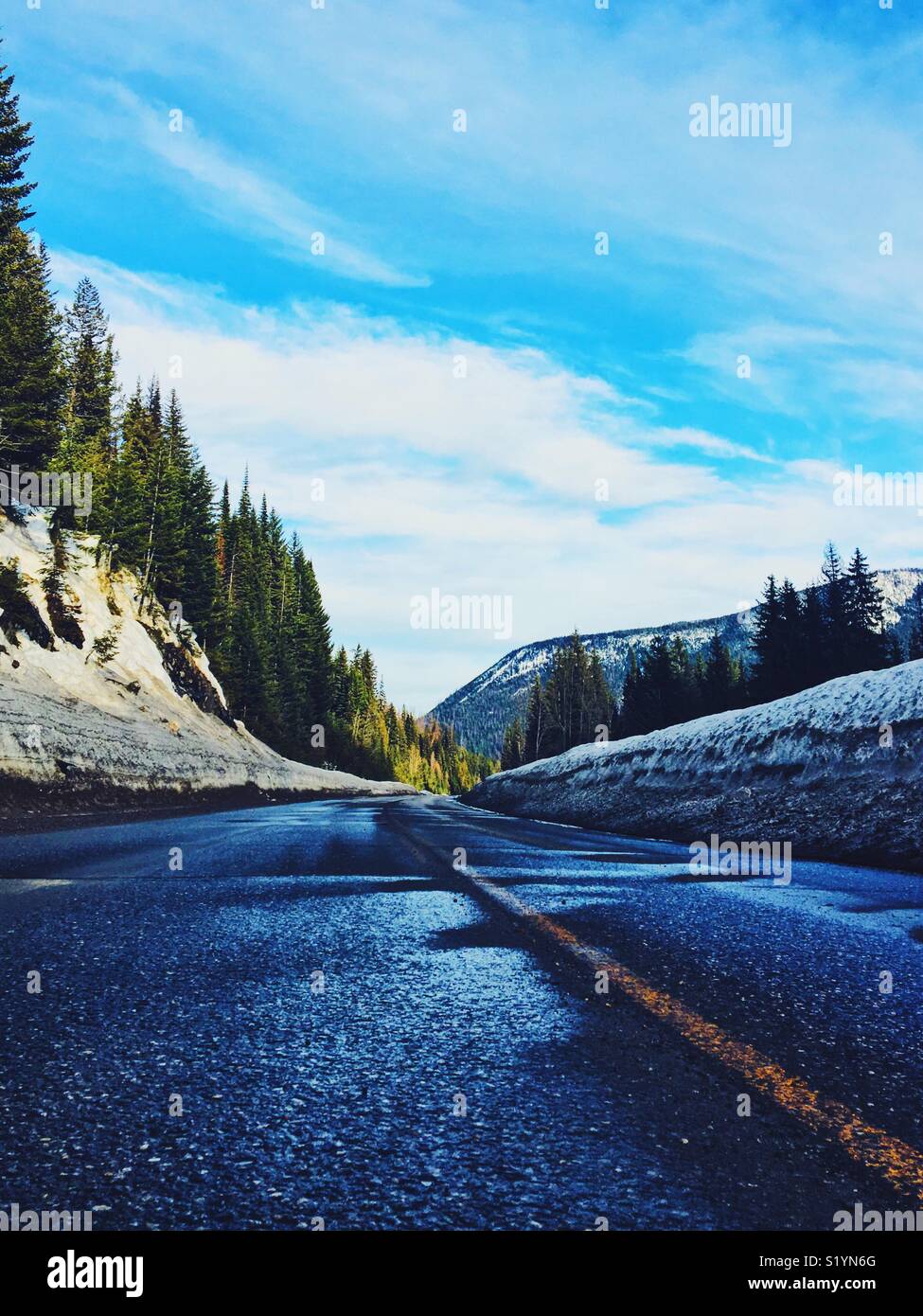 An empty highway leads away surrounded by snow banks and evergreen trees on a late winter day. - Smartphone Captured Stock Image