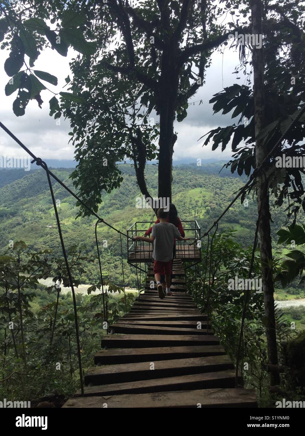 Pasar por el puente colgante en medio del bosque húmedo tropical Stock Photo