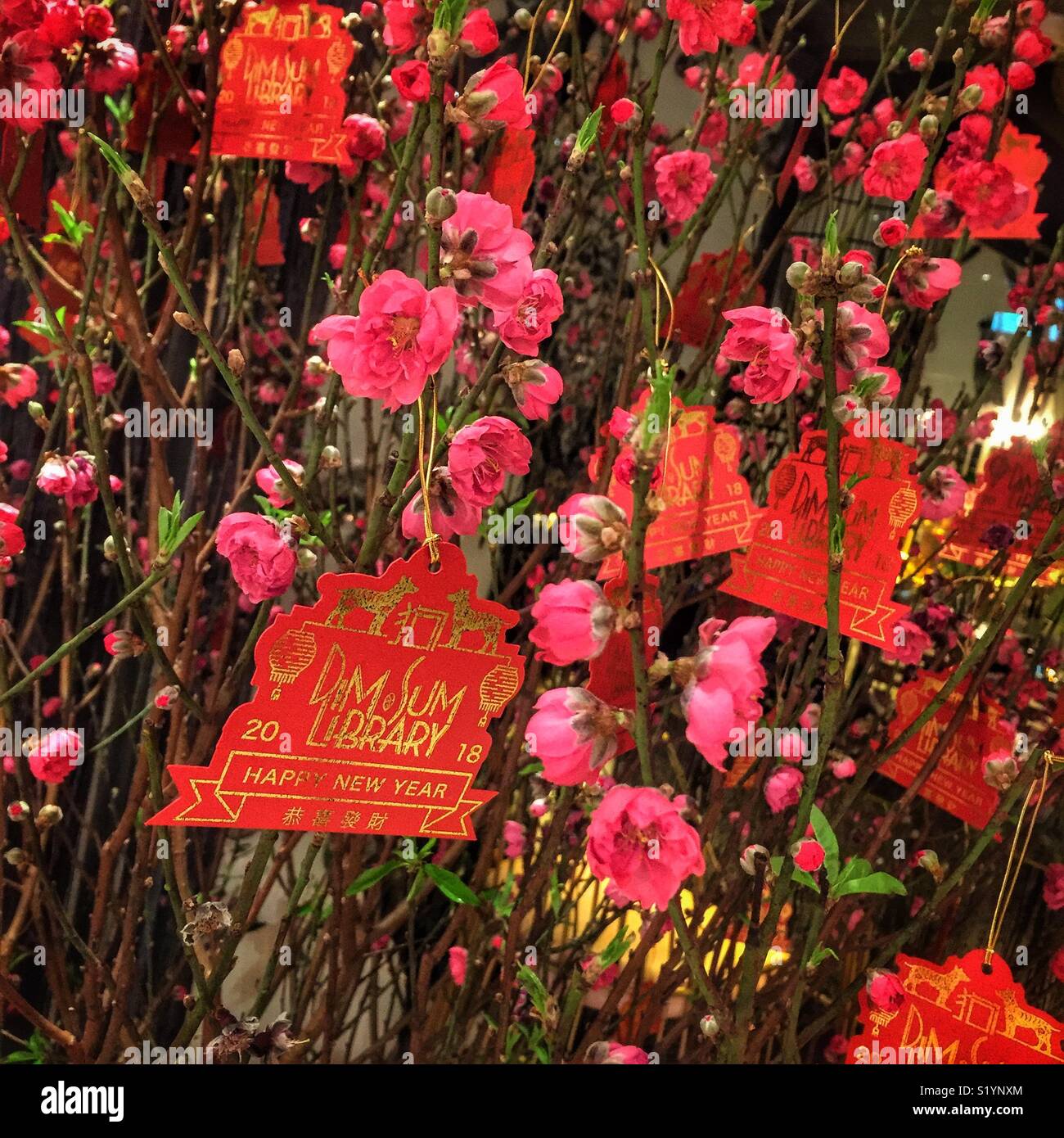 A plum blossom tree, celebrating the Chinese New Year of The Dog, 2018, at the entrance to Dim Sum Library, a restaurant and bar in Pacific Place, Admiralty, Hong Kong Island - Smartphone Captured Stock Image