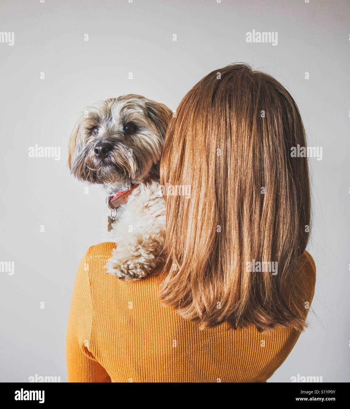 A rear view of a fashionable young girl with shiny hair holding her cute pet dog on her shoulder Stock Photo