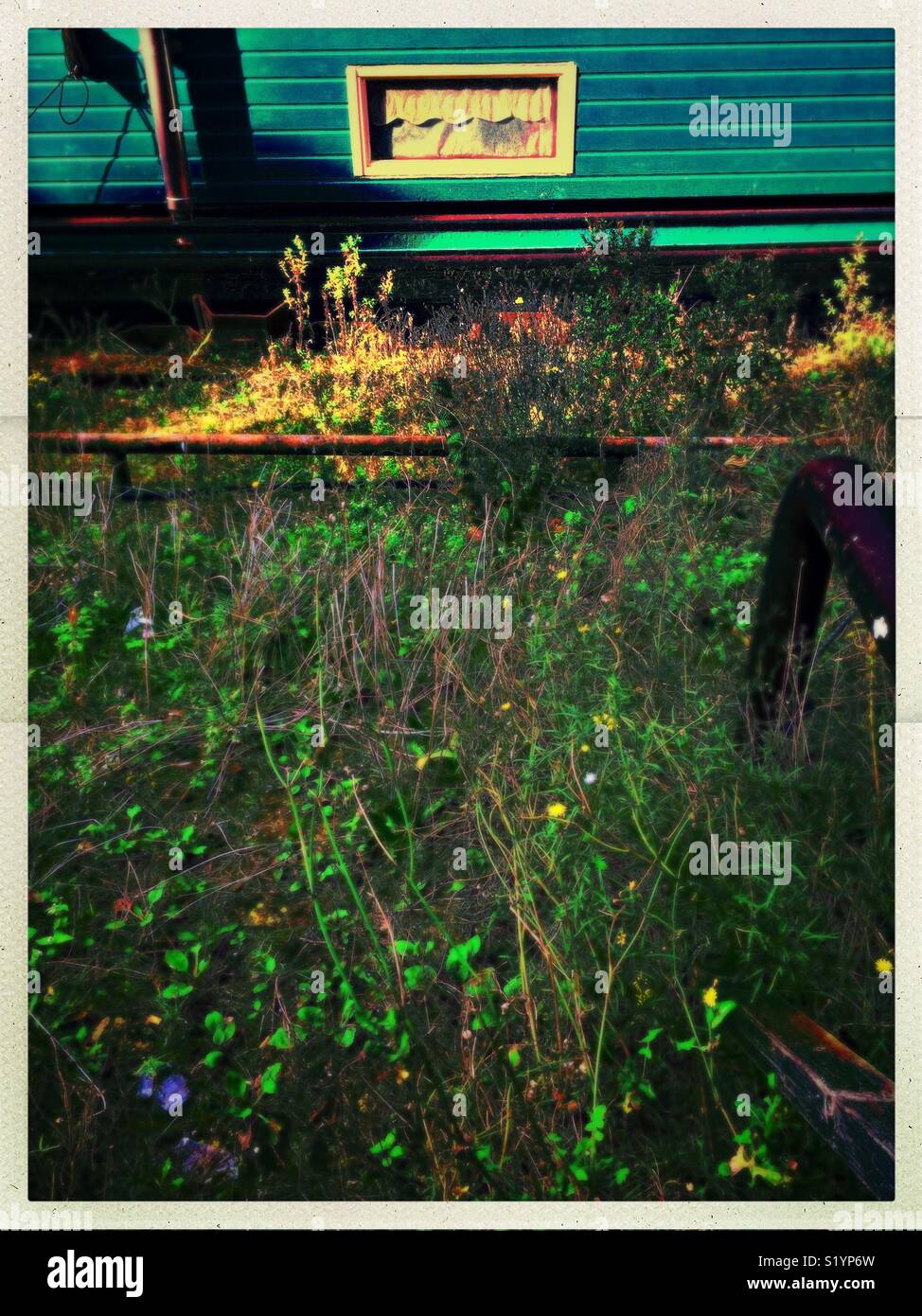 Houseboat window covered by blind, Holland - Smartphone Captured Stock Image