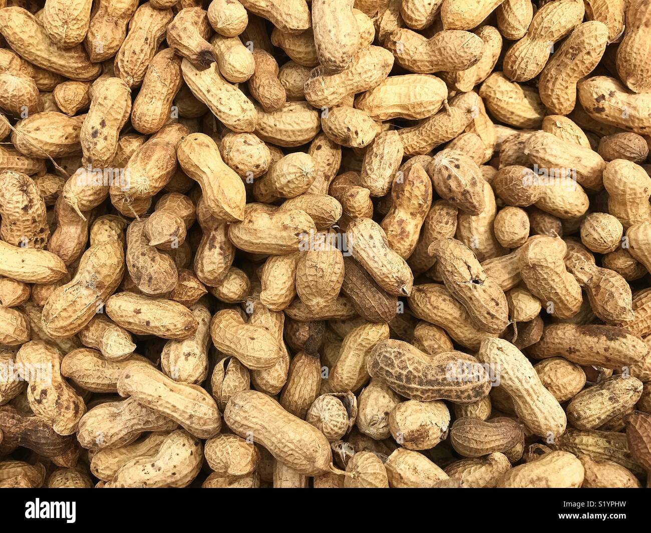 Natural free range organic eggs for sale in a public market in Mexico