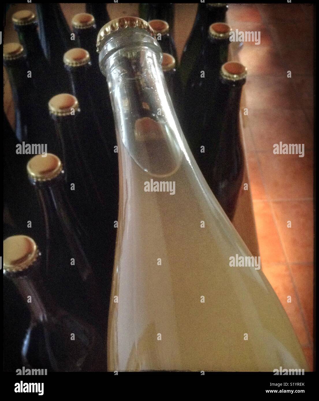 Inoculating homemade Macabeo sparkling wine with yeast for a bottle fermentation, Catalonia, Spain. - Smartphone Captured Stock Image