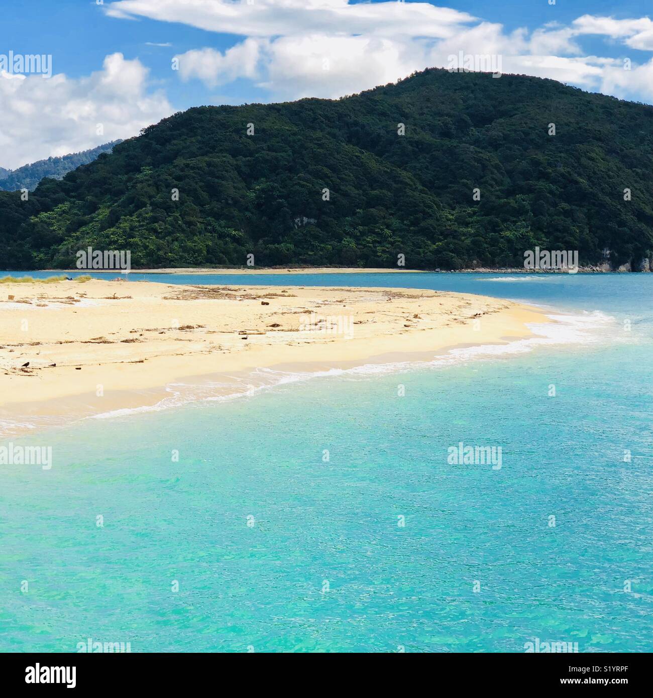 Awaroa Beach at Abel Tasman National Park, South Island, New Zealand - Smartphone Captured Stock Image