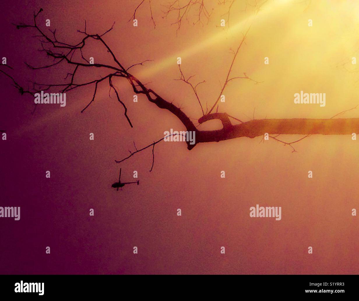 Golden photo of news helicopter hovering in sky like mosquito - Smartphone Captured Stock Image