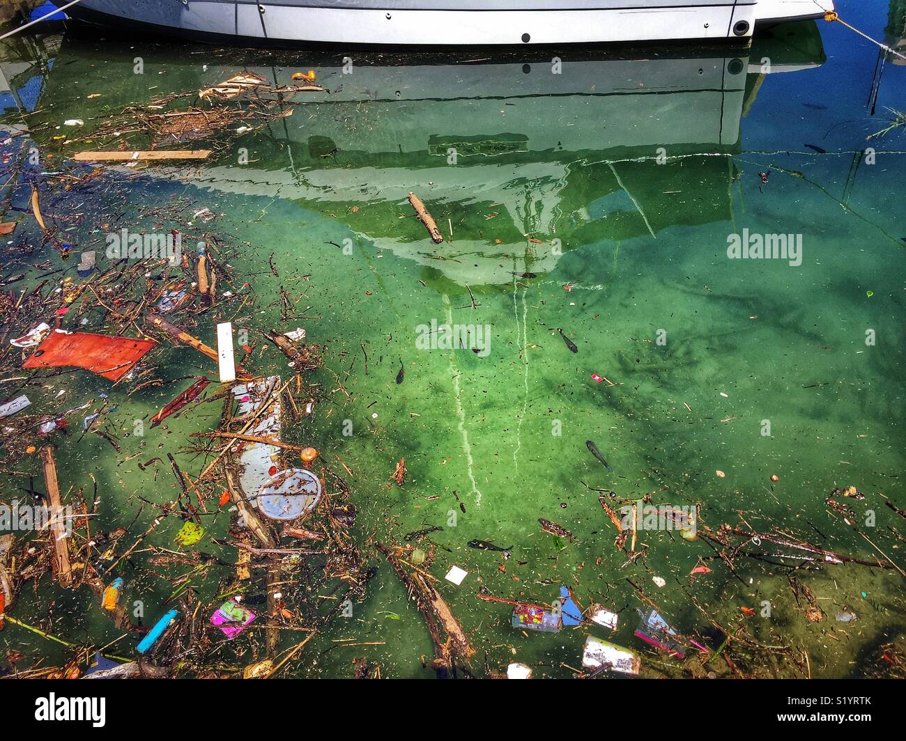 Water pollution in Waikiki boat basin - Smartphone Captured Stock Image