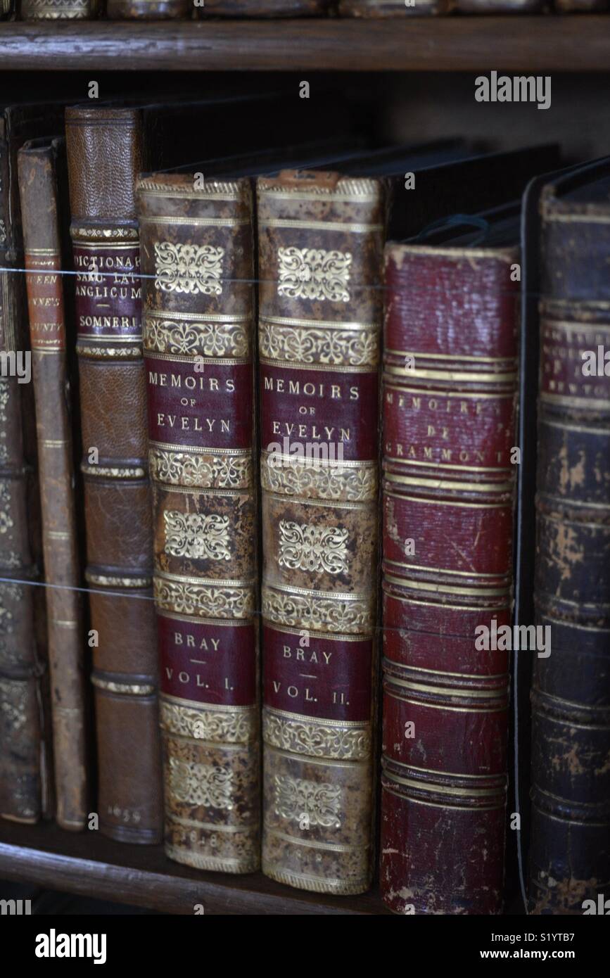 Old leather bound books in library Stock Photo Alamy