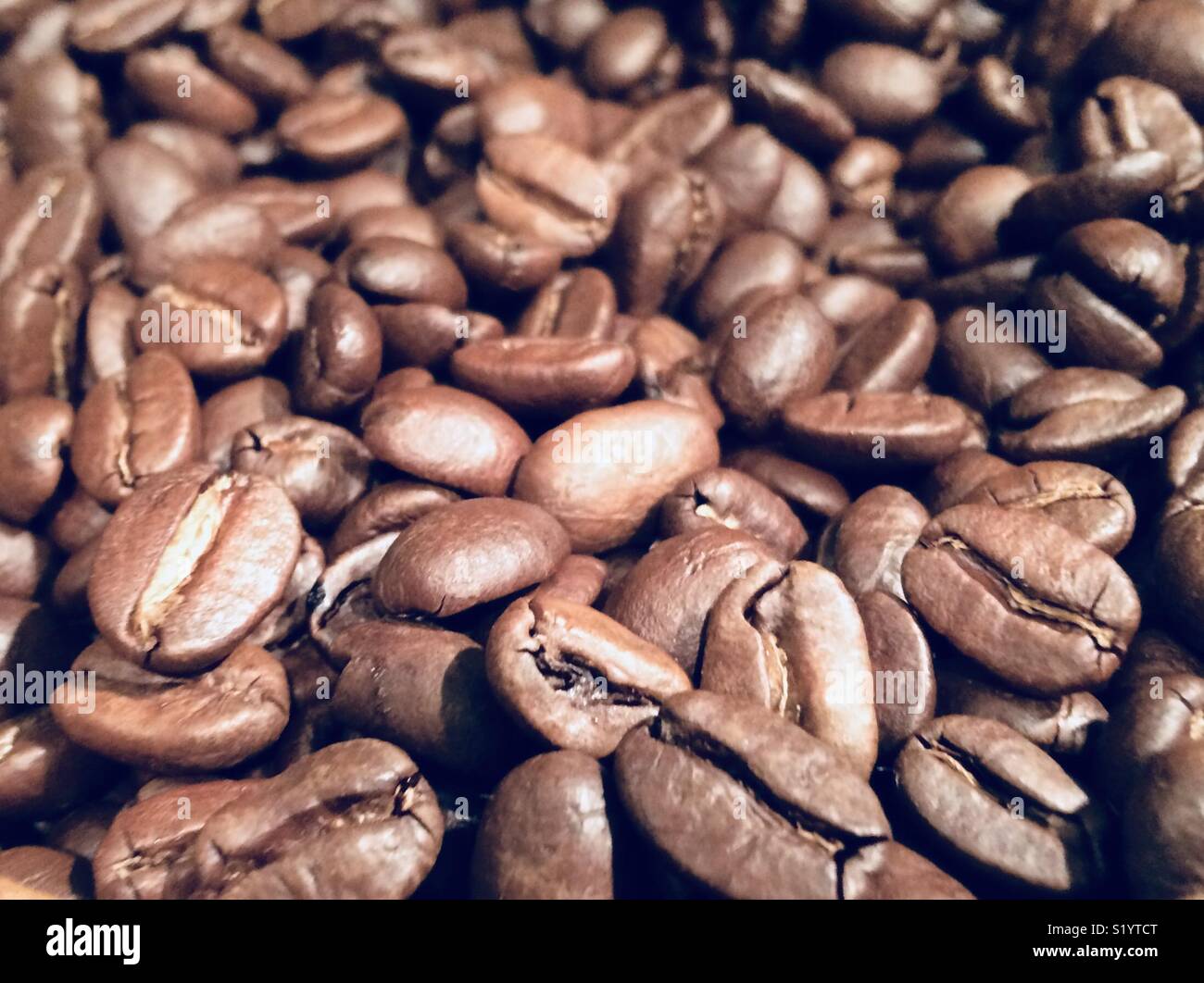 Close up of coffee beans - Smartphone Captured Stock Image