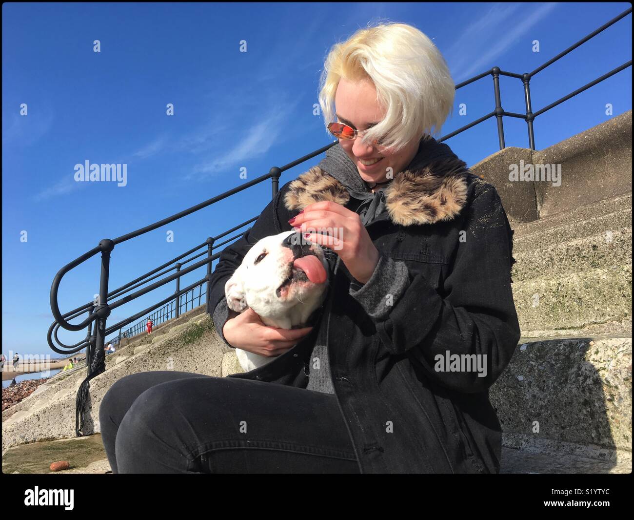 Young woman cuddling a white Staffordshire bull terrier dog. Liverpool 2018 Stock Photo