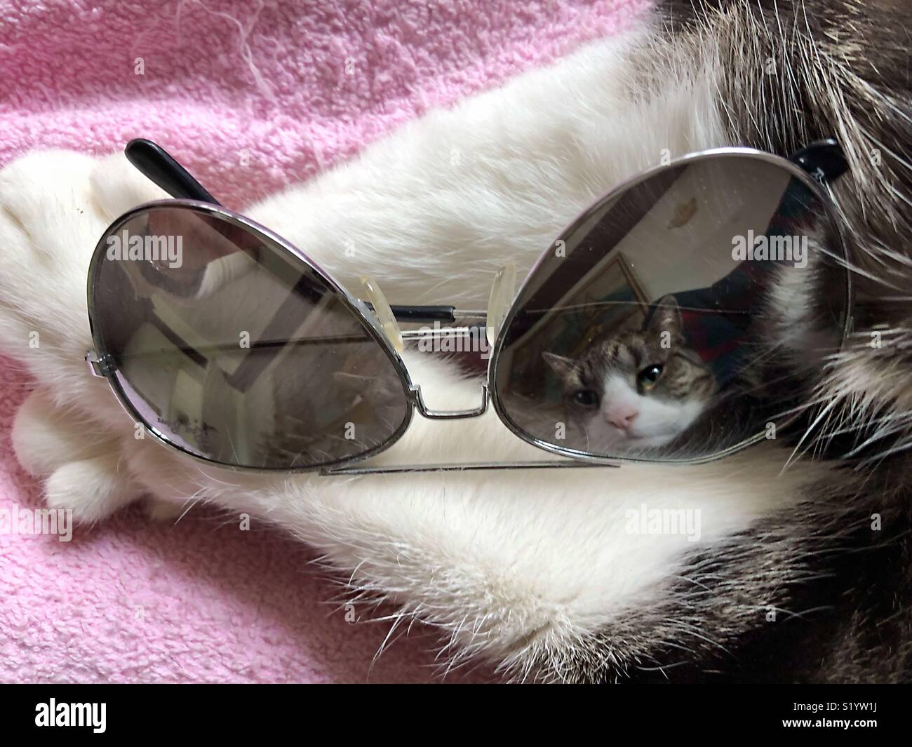 WHO is looking?! - Smartphone Captured Stock Image